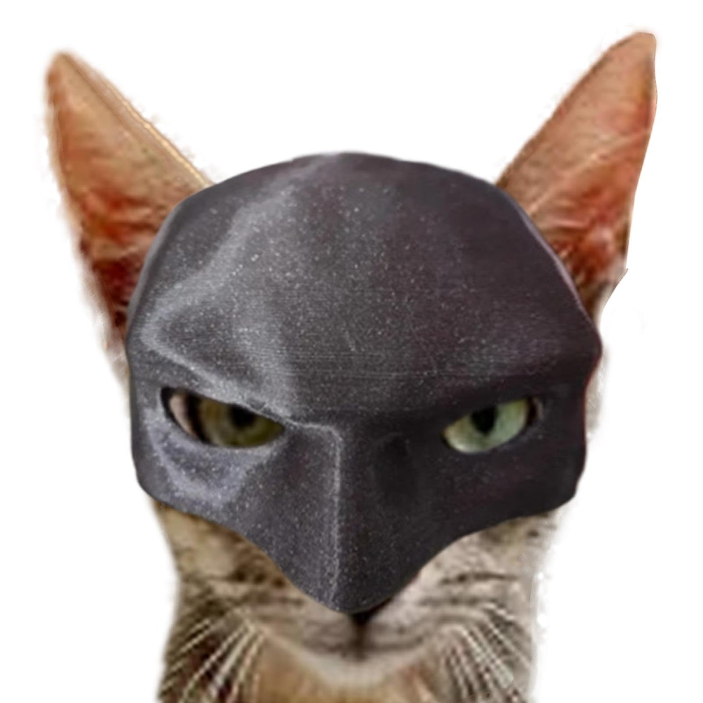 Bat Cat Mask Pet Toy