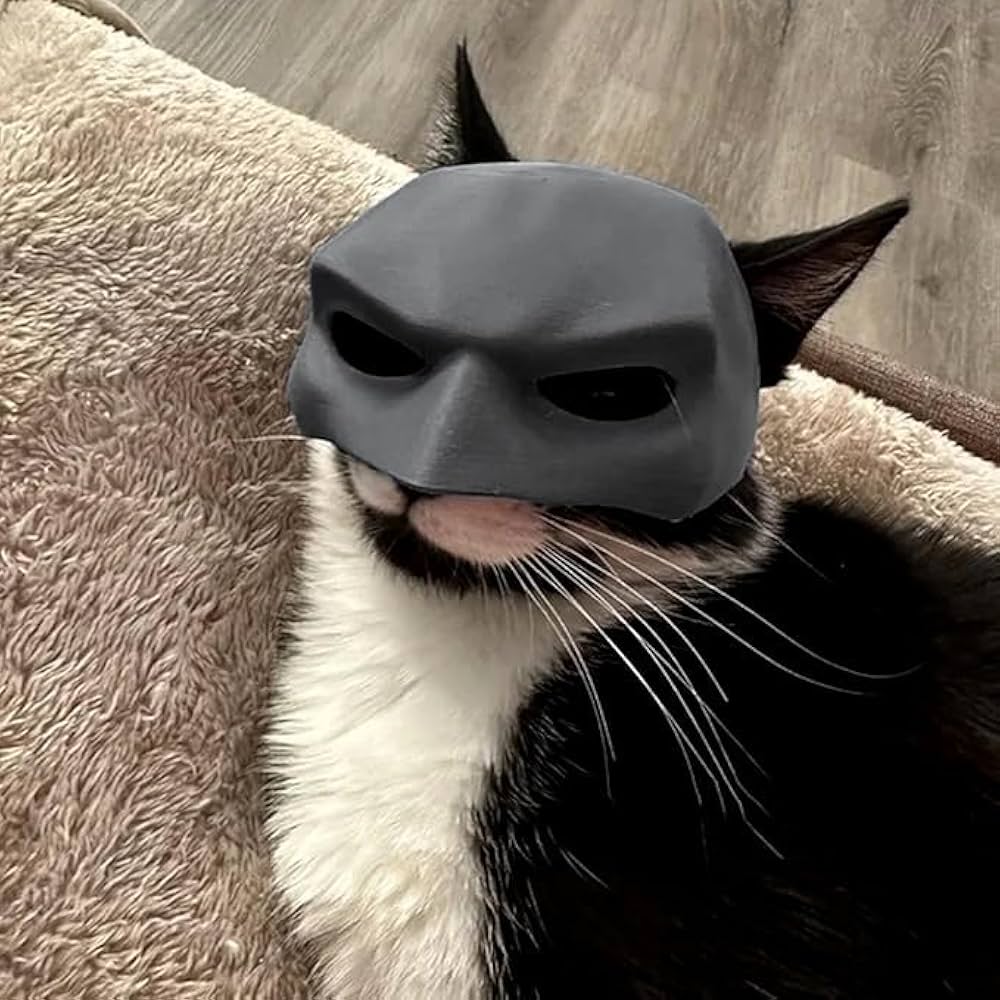 Bat Cat Mask Pet Toy