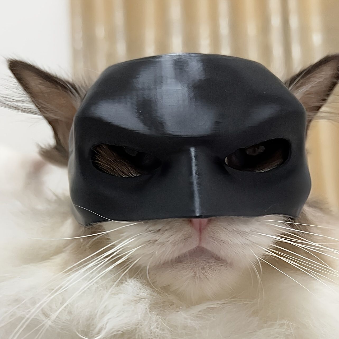 Bat Cat Mask Pet Toy