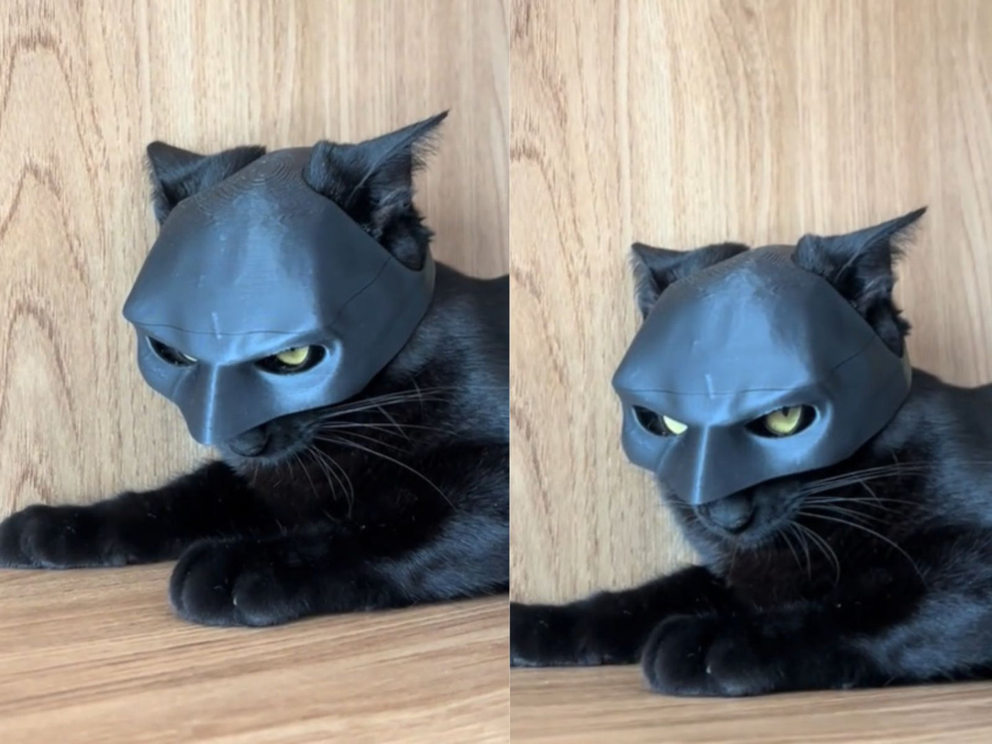 Bat Cat Mask Pet Toy