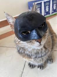 Bat Cat Mask Pet Toy